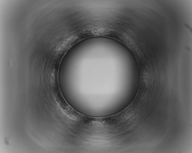 X0000102360690200808081130