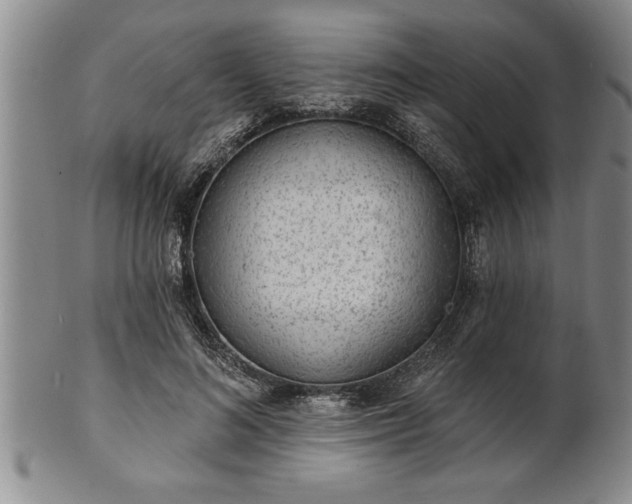 X0000102360692200808081130
