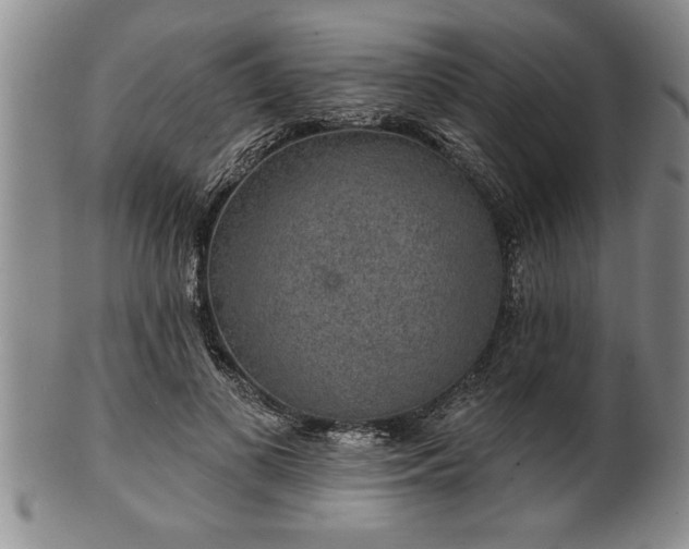 X0000102360693200808081130