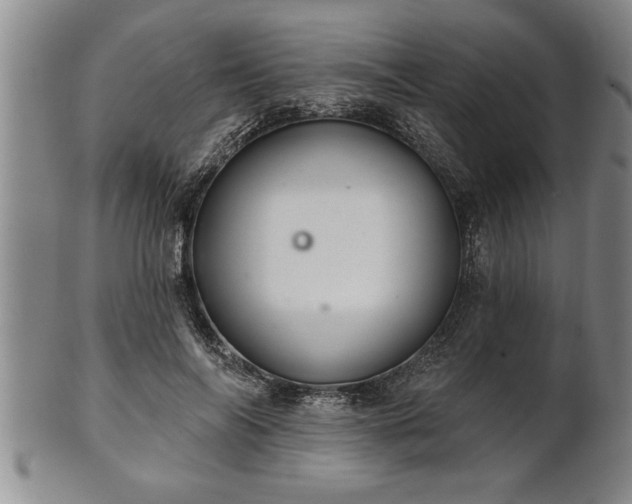 X0000102360694200808081130