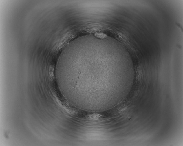 X0000102360695200808081130