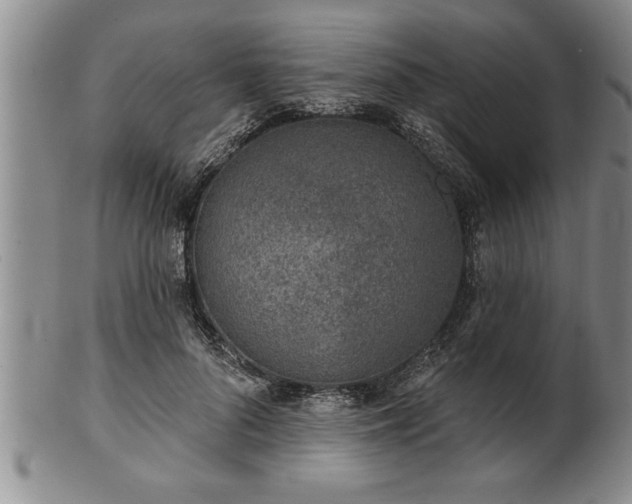 X0000102360696200808081130