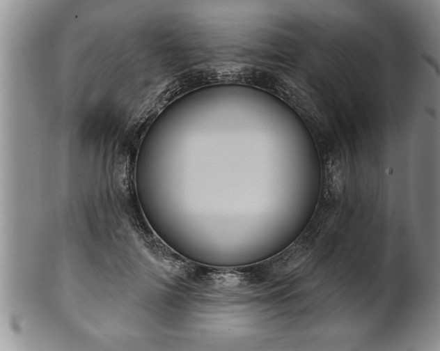 X0000102360698200808081130