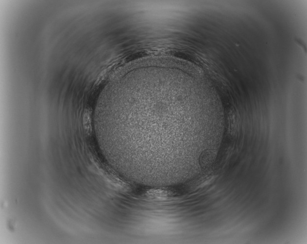 X0000102360699200808081130