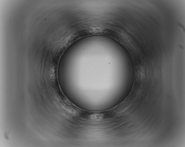 X0000102360700200808081130