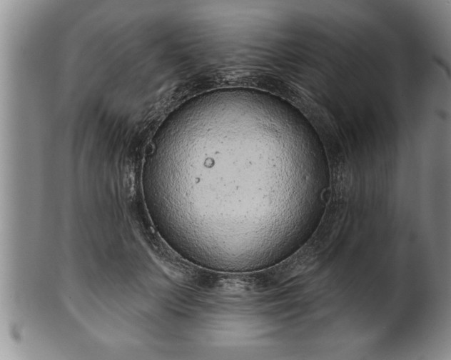 X0000102360703200808081130