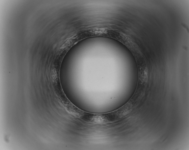 X0000102360704200808081130