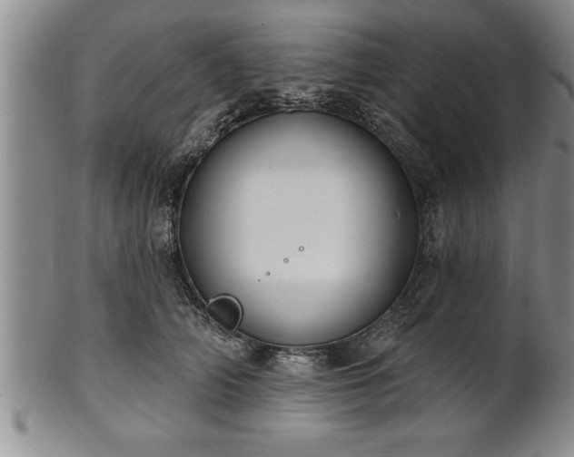 X0000102360706200808081130