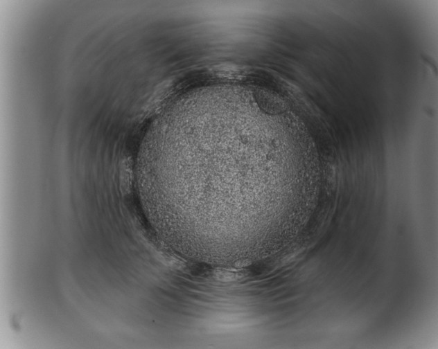 X0000102360707200808081130
