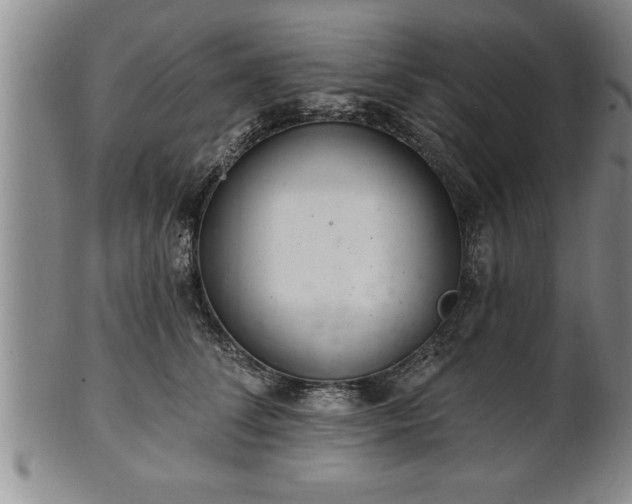 X0000102360708200808081130