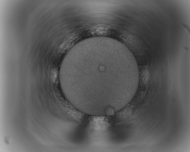 X0000102360709200808081130