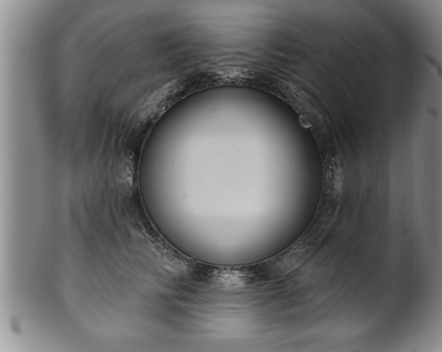 X0000102360710200808081130