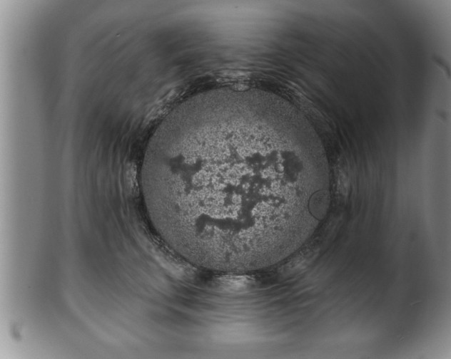 X0000102360711200808081130