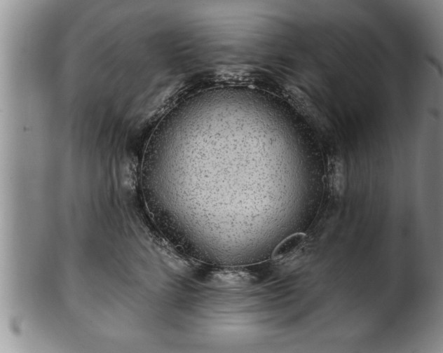 X0000102360712200808081130