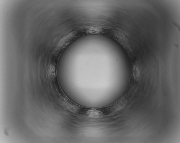 X0000102360714200808081130