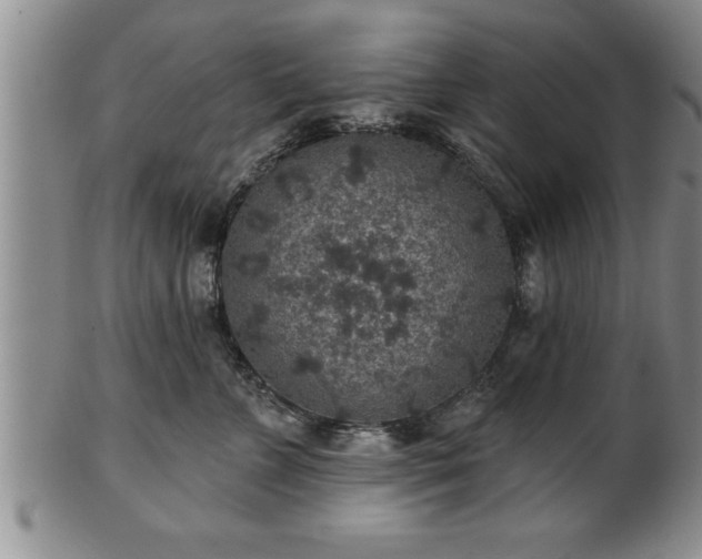 X0000102360715200808081130