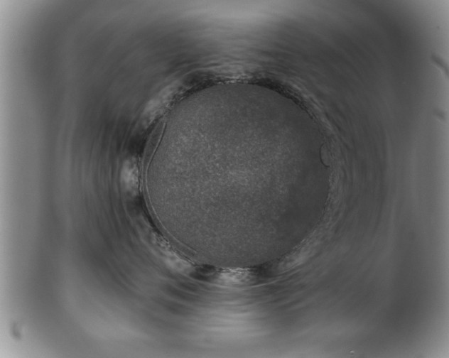 X0000102360720200808081130