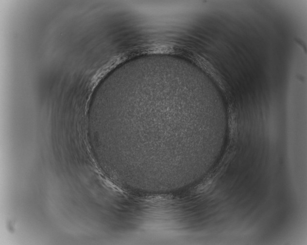 X0000102360721200808081129