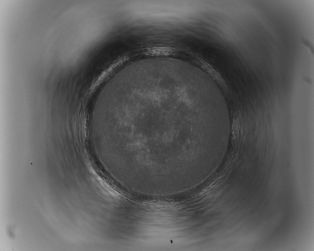X0000102360722200808081129