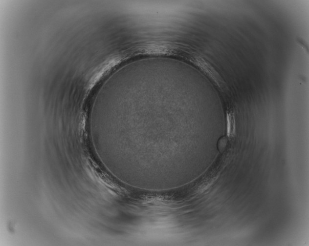X0000102360723200808081129