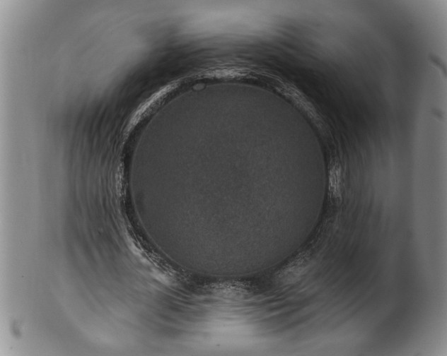 X0000102360724200808081129