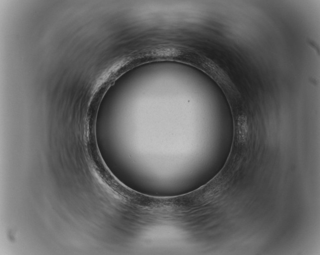 X0000102360726200808081129