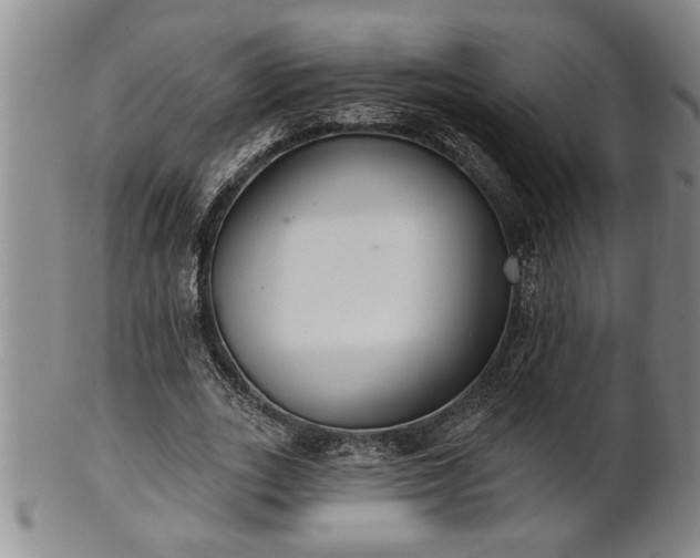 X0000102360727200808081129