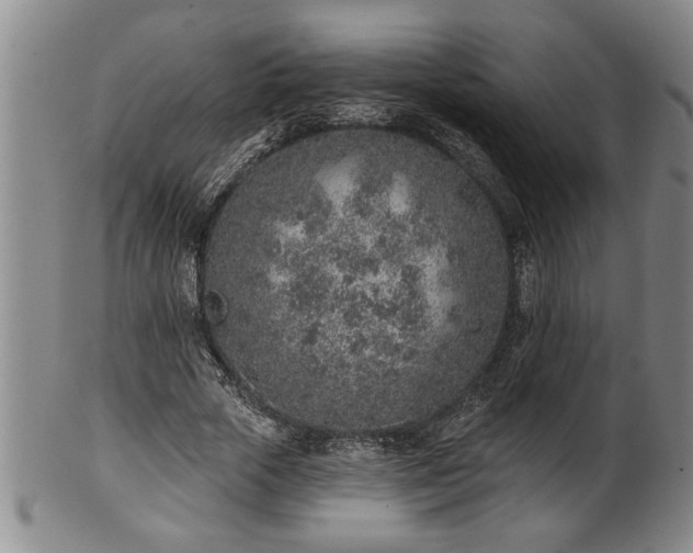 X0000102360729200808081129