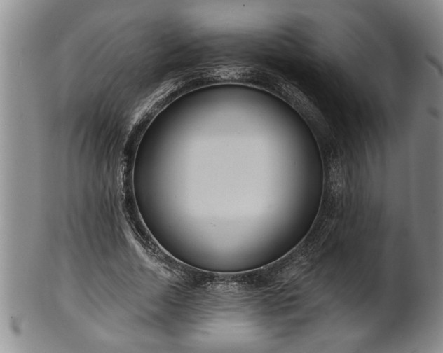 X0000102360730200808081129