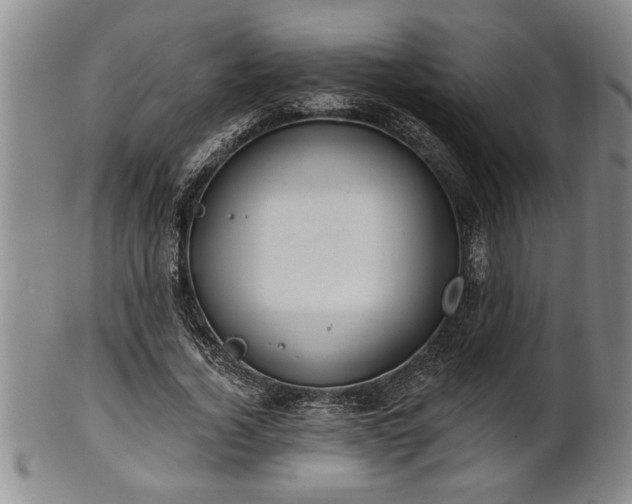 X0000102360732200808081129