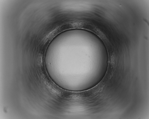 X0000102360733200808081130