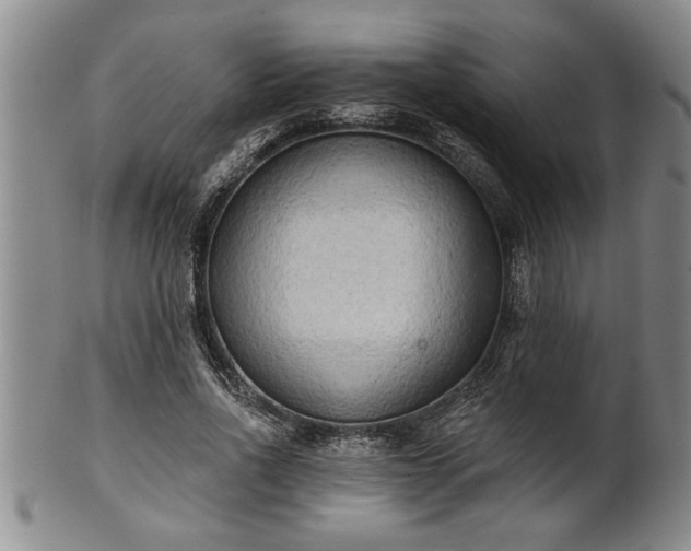 X0000102360734200808081130