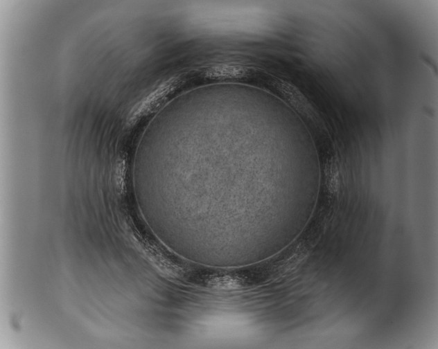 X0000102360735200808081130