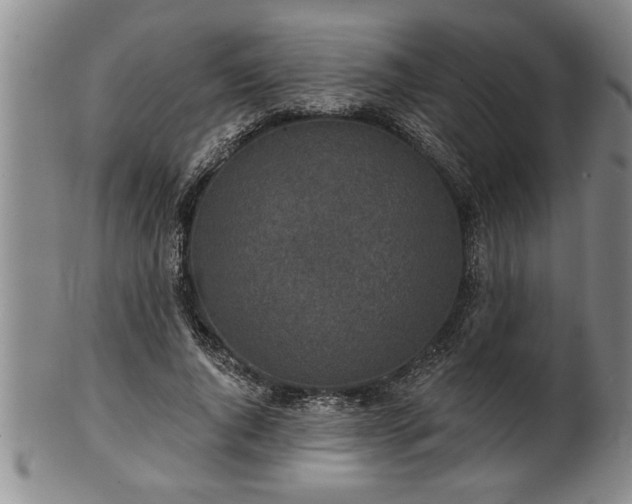 X0000102360736200808081130