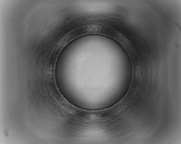 X0000102360737200808081130
