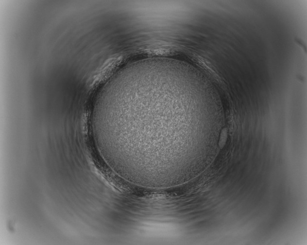 X0000102360738200808081130
