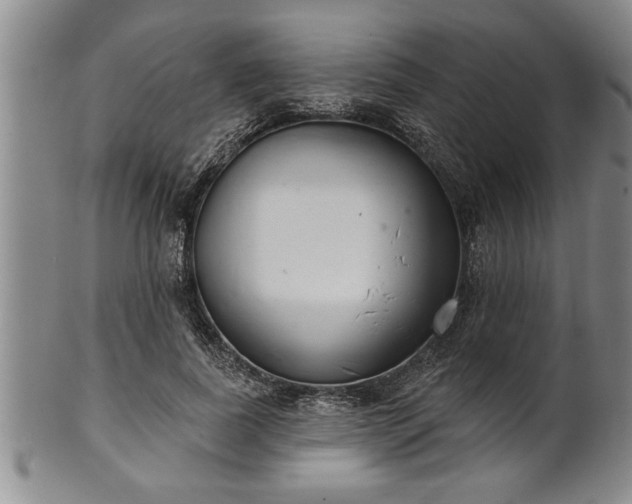 X0000102360739200808081130
