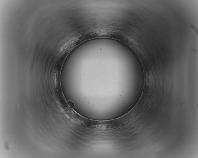 X0000102360740200808081130