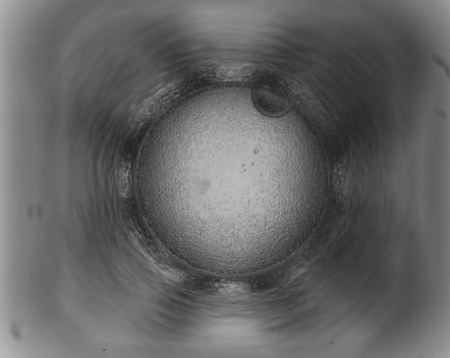 X0000102360741200808081130