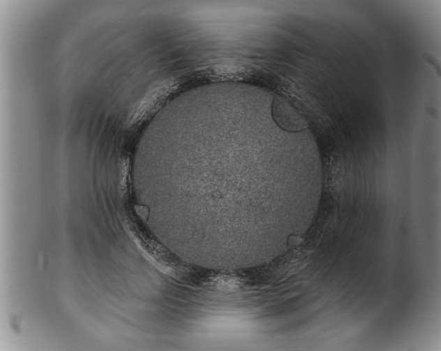 X0000102360742200808081130
