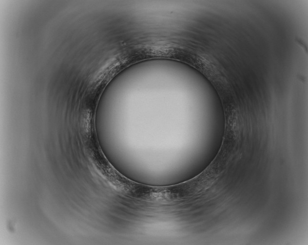 X0000102360744200808081130