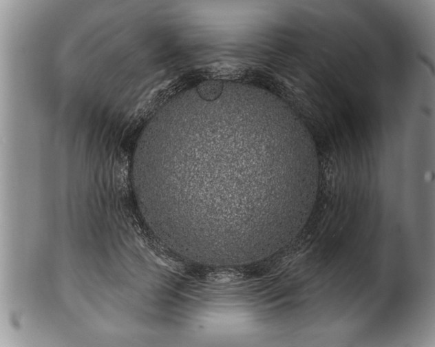 X0000102360745200808081130