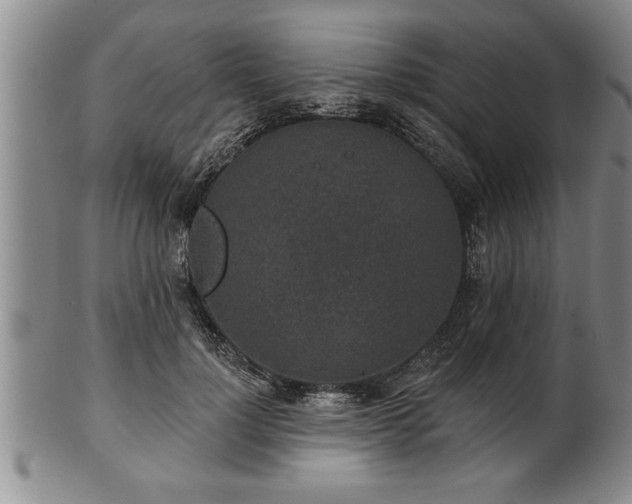 X0000102360748200808081130