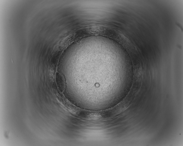 X0000102360749200808081130