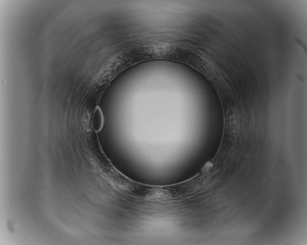 X0000102360750200808081130