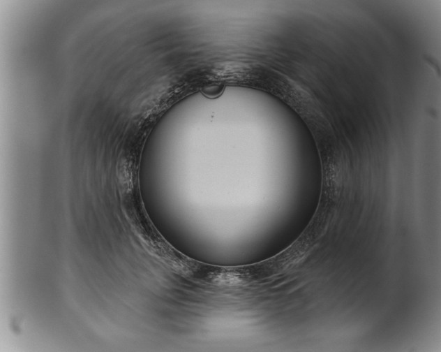 X0000102360751200808081130