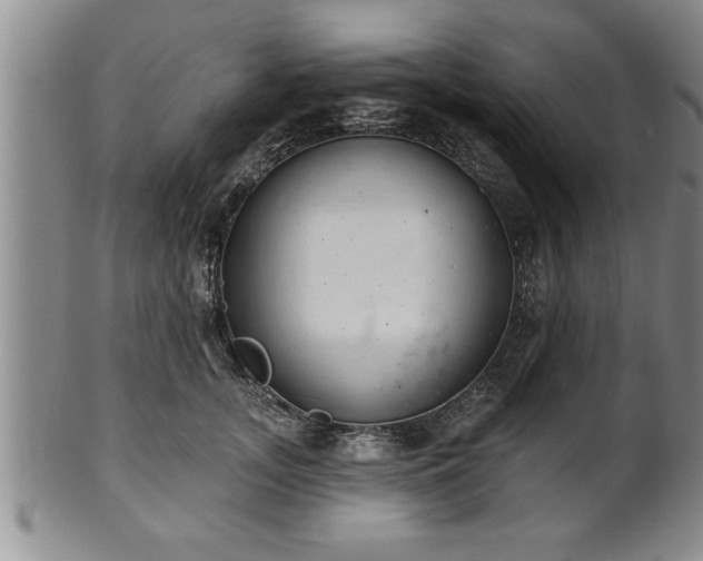 X0000102360755200808081130