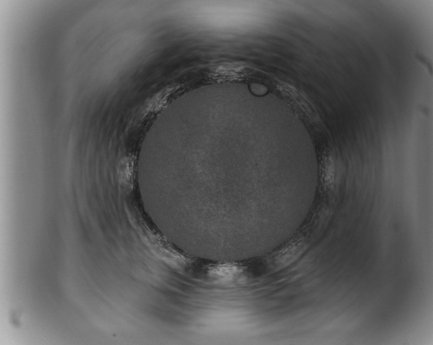 X0000102360759200808081130
