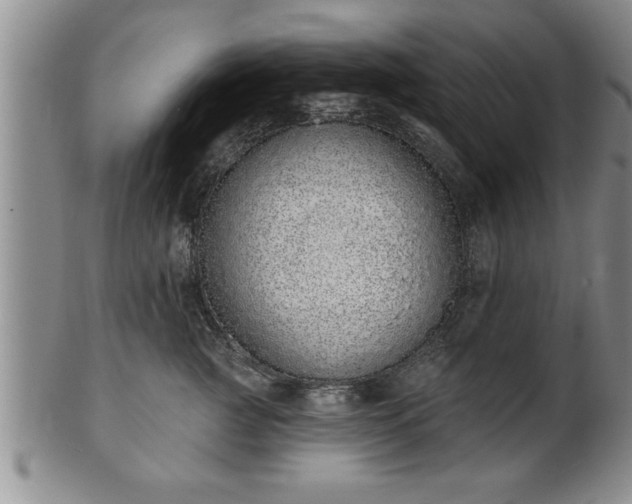 X0000102360761200808081130