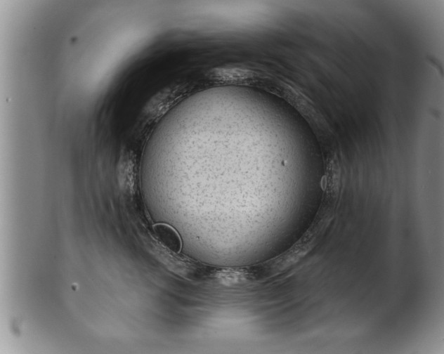X0000102360762200808081130